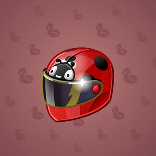 Neko Helmet #10089