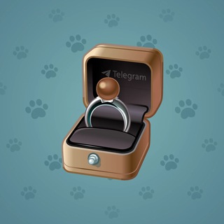 Diamond Ring #14481
