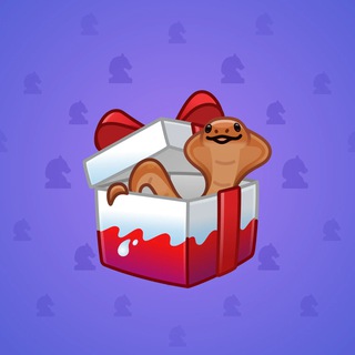 Snake Box #161013