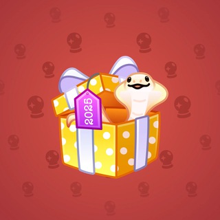 Snake Box #150805