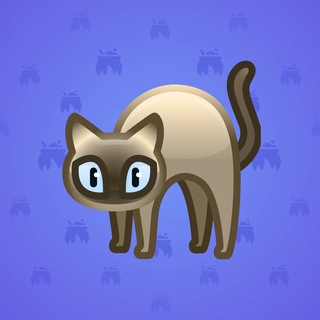 Scared Cat #16294