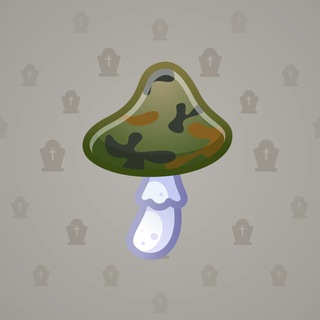 Spy Agaric #10046