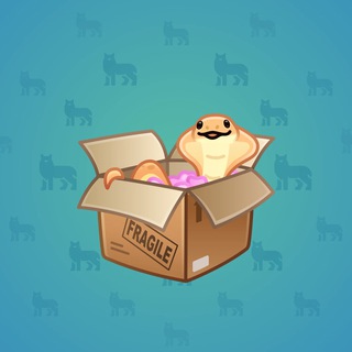 Snake Box #121131