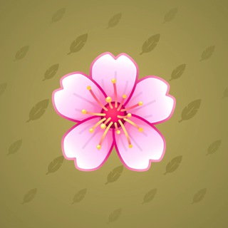Sakura Flower #74499