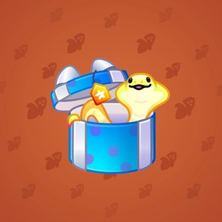 Snake Box #129897