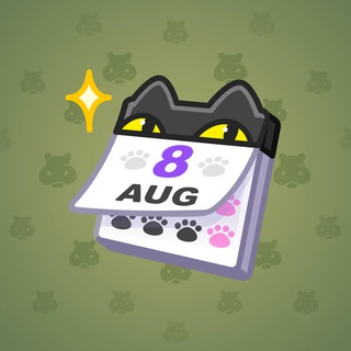 Gato Ocho