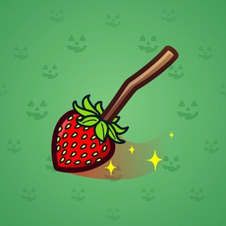 Flying Broom #8972