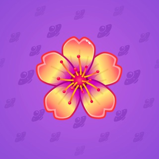 Sakura Flower #52054