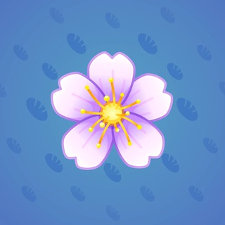 Sakura Flower #70712