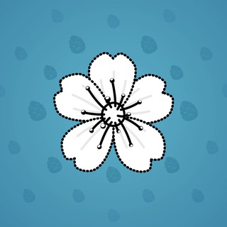 Sakura Flower #25045