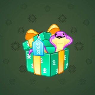 Snake Box #64945
