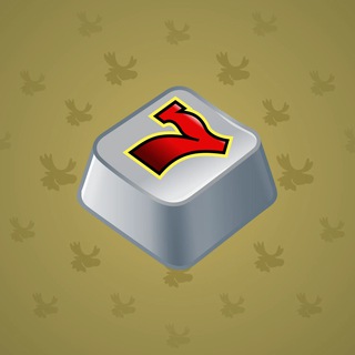 Input Key #33181