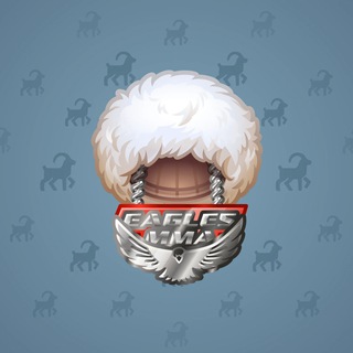 Eagles MMA