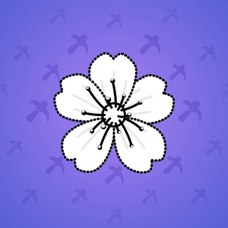 Sakura Flower #12591