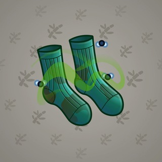 Fresh Socks #120244