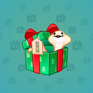 Snake Box #27206