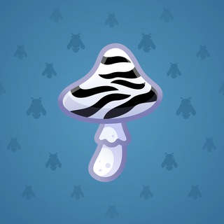 Spy Agaric #18192