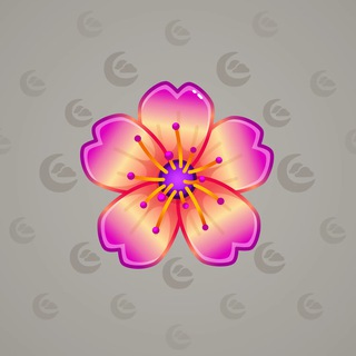 Sakura Flower #49869