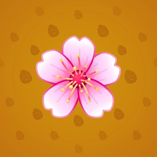 Sakura Flower #17007