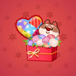 Joyful Bundle #25903