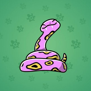 Pet Snake #65541