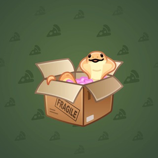 Snake Box #15488