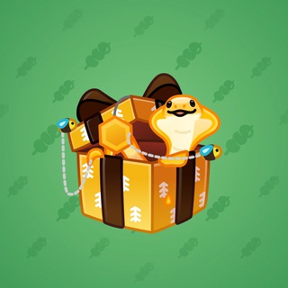 Snake Box #31812