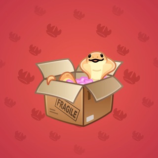 Snake Box #86371