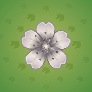 Sakura Flower #14992