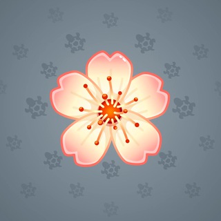 Sakura Flower #2482