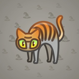 Scared Cat #2764