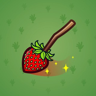 Flying Broom #12582
