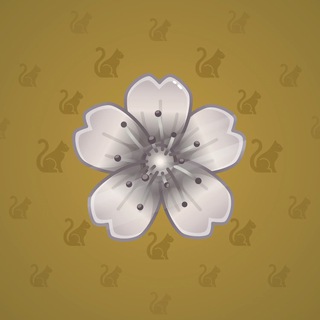 Sakura Flower #5656