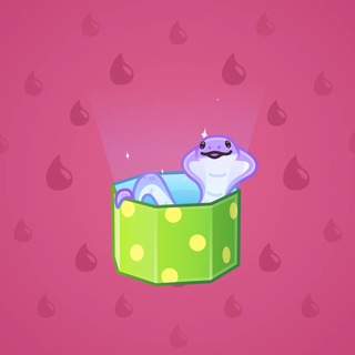Snake Box #151688