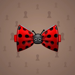 Bow Tie #7748