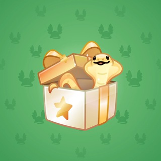 Snake Box #13469