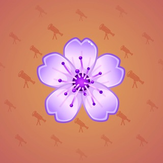 Sakura Flower #31158