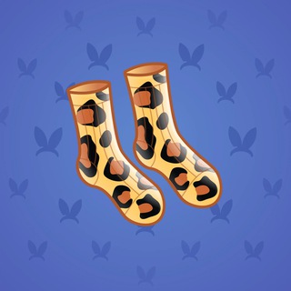 Fresh Socks #74341