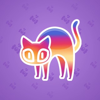 Scared Cat #18269
