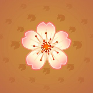 Sakura Flower #72633