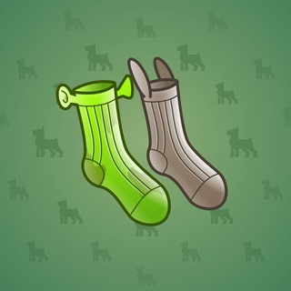 Fresh Socks #67336