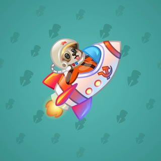 Stellar Rocket #11242