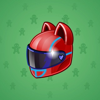 Neko Helmet #13684