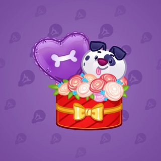 Joyful Bundle #23231