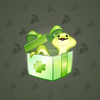 Snake Box #82861