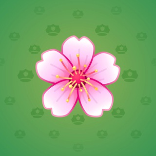 Sakura Flower #22954