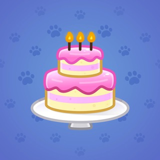 Homemade Cake #132723