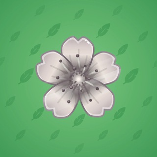 Sakura Flower #22815