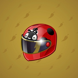 Neko Helmet #2962