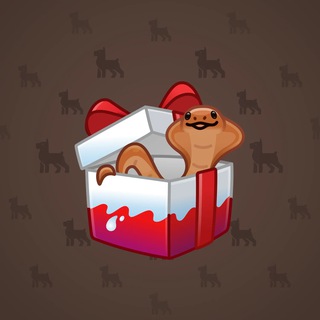 Snake Box #21540